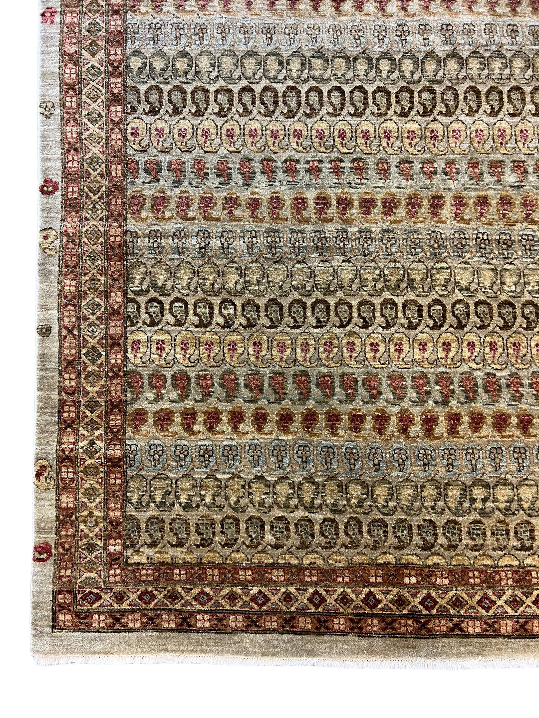 Hand-Knotted Wool Rug – Ivory &amp; Pistachio Pattern – 10’1” × 14’0”
