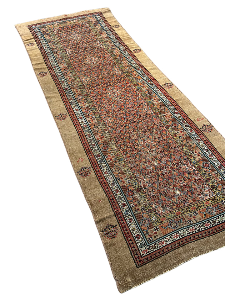 Camel Brown &amp; Rust - Antique Camel Hair Hamadan Rug – 4’5” x 11’1”, circa 1880