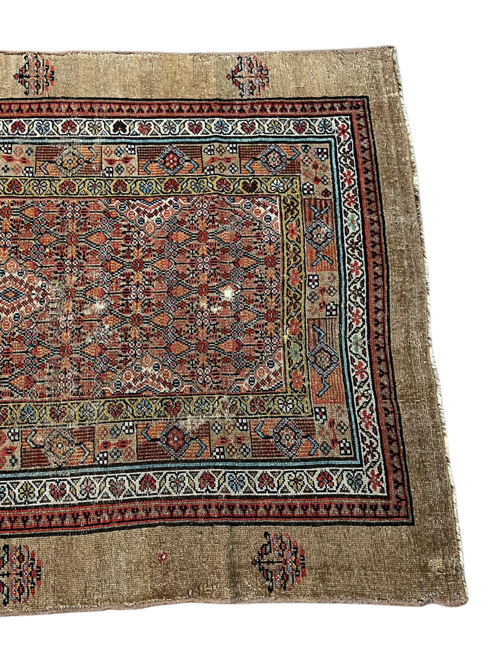 Camel Brown &amp; Rust - Antique Camel Hair Hamadan Rug – 4’5” x 11’1”, circa 1880